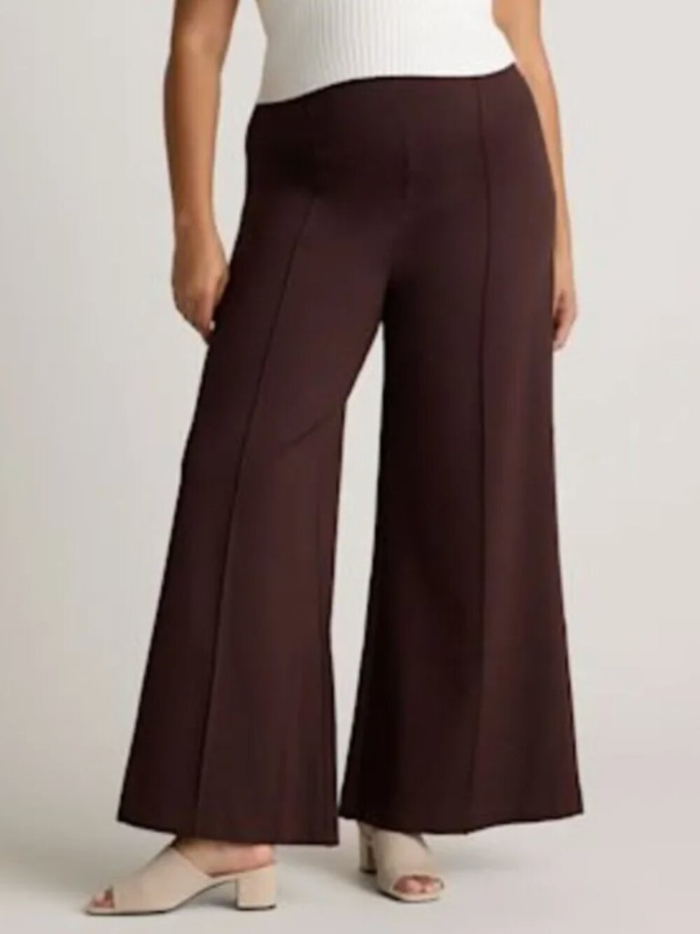 Quince Wide-Leg Pants in Chocolate Brown